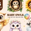 Baby Owls Clip Art Set - Digital Download Png Graphics With Cute Owl Characters