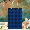 Blue And Black Buffalo Plaid Gift Bag With White Handles.