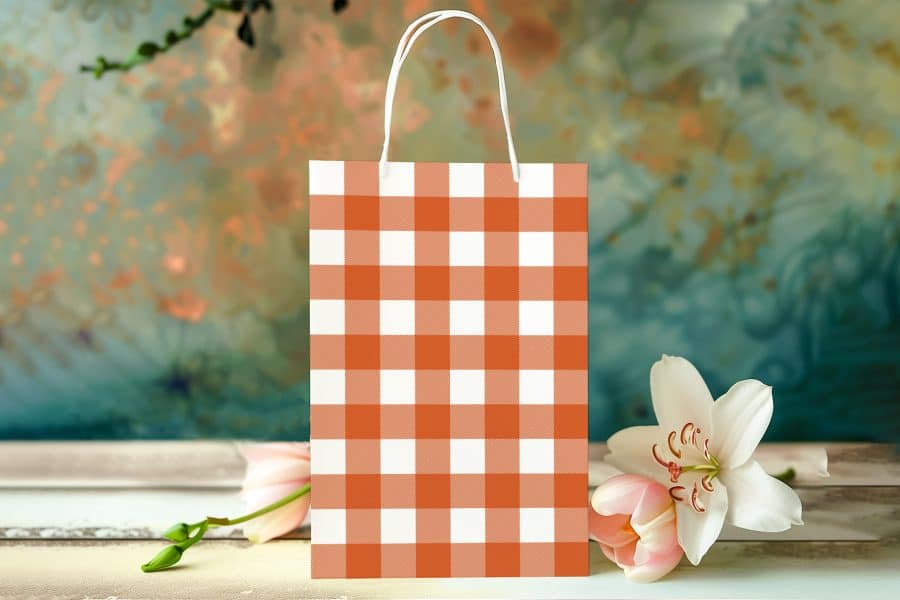 Orange And White Gingham Gift Bag.