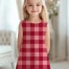 Young Girl Wearing A Red And Pink Plaid Dress.