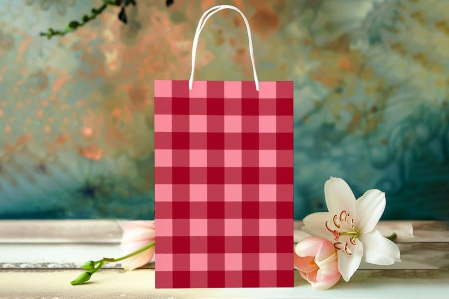 Red And Pink Gingham Gift Bag.