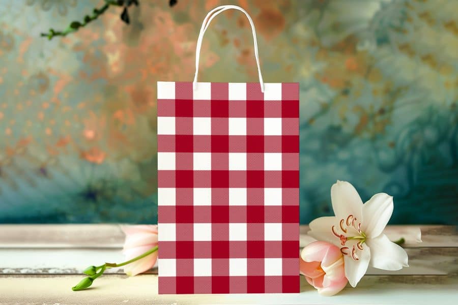 Red And White Gingham Gift Bag.
