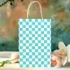 Light Teal And White Checkered Paper Shopping Bag.