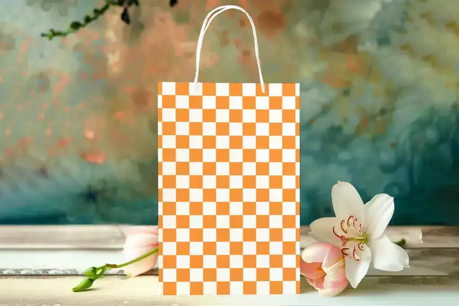 Orange And White Checkered Gift Bag.