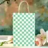 A Light Green And White Checkered Paper Gift Bag.