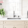 Kitchen Sink With A Plant And Wine Bottle.