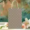 Brown Polka Dot Gift Bag With White Handles.