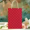 Red Polka Dot Gift Bag With White Handles.