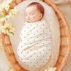 Sleeping Baby Swaddled In A Pink Polka Dot Blanket Inside A Wicker Basket.