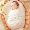 Sleeping Baby Swaddled In A White Polka Dot Blanket Inside A Wicker Basket.