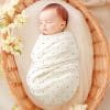 Sleeping Baby Swaddled In A White Polka Dot Blanket Inside A Wicker Basket.
