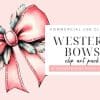 Pink Bow With Feathers.