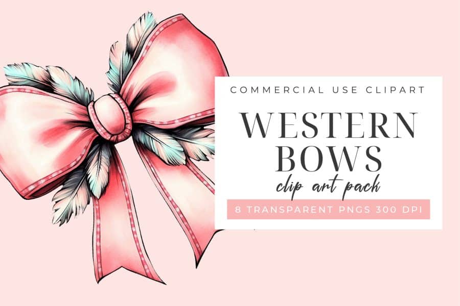 Pink bow with feathers.