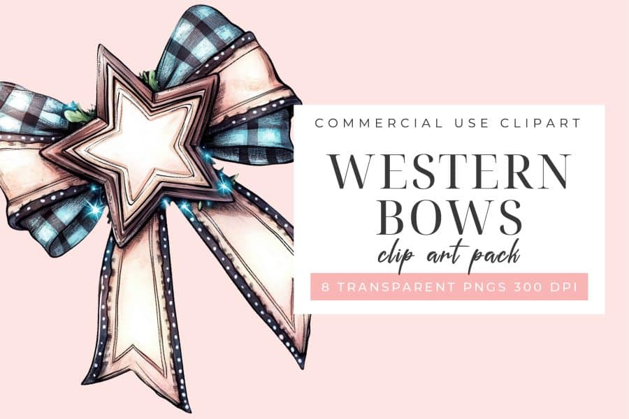 A large, decorative bow with a star in the center. The bow is beige and blue plaid.