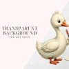 Illustration Of A Cute, White Goose Holding A Quill Pen And Writing On A Scroll.