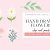 Hand-Drawn Flowers Clipart Pack, Featuring Daisies And Carnations.