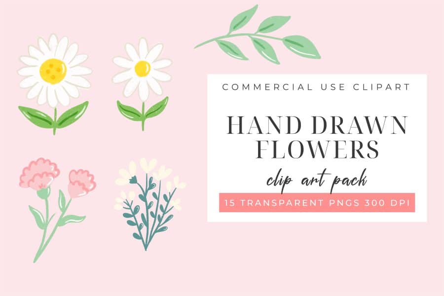 Hand-Drawn Flowers Clipart Pack, Featuring Daisies And Carnations.