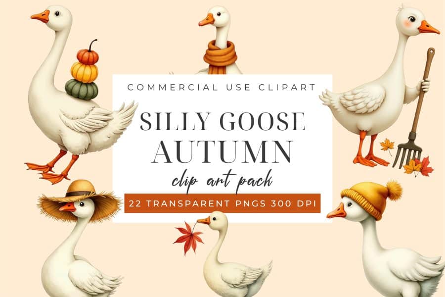 Silly Goose Autumn Clip Art Set - digital download PNG graphics with funny goose characters
